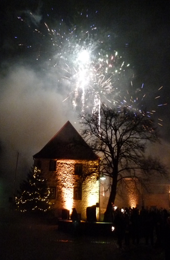 20120110-Feuerwerk-10966